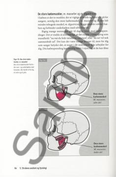 Stemmen som instrument 