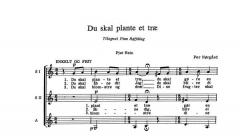 Du Skal Plante Et Trae (Per Norgard) 
