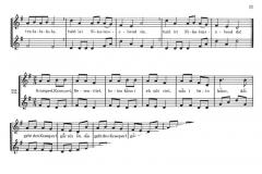 Ich spiele Blockflöte Band 4 (Rupert Doppelbauer) 