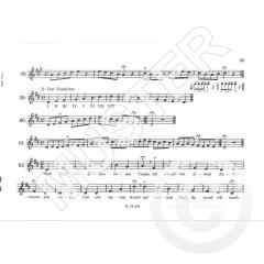 Ich spiele Blockflöte Band 5 (Rupert Doppelbauer) 