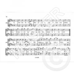 Ich spiele Blockflöte Band 6 (Rupert Doppelbauer) 