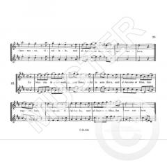 Ich spiele Blockflöte Band 6 (Rupert Doppelbauer) 