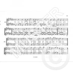 Ich spiele Blockflöte Band 7 (Rupert Doppelbauer) 