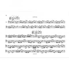 Ich spiele Blockflöte Band 8 (Rupert Doppelbauer) 