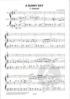 A Sunny Day - Pop-Suite für Orgel von Ernst Thilo Kalke im Alle Noten Shop kaufen