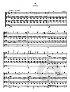 Streichquartett Nr. 1 in A-Dur op. 2 von Antonín Dvorák im Alle Noten Shop kaufen