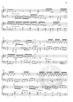 St. Matthew Passion Suite von Johann Sebastian Bach (Download) 