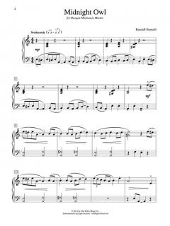 Midnight Owl von Randall Hartsell 