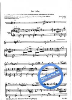 Der Hahn von Rainer Lischka 