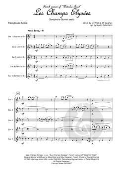 Les Champs Elysees von Mike Deighan 
