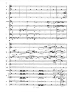 Violinkonzert D-dur op. 61 von Ludwig van Beethoven 