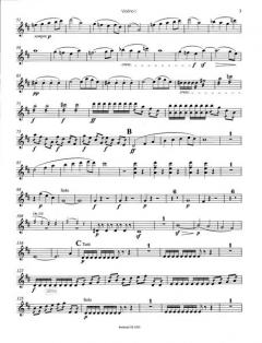 Violinkonzert D-dur op. 61 von Ludwig van Beethoven 