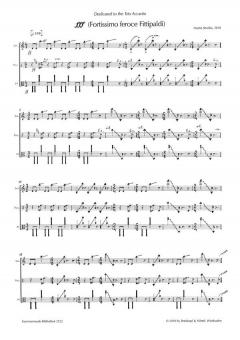 fff (Fortissimo feroce Fittipaldi) (Martin Smolka) 