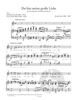 Schlagerperlen der 30er Jahre 1: Joseph Beer von Leopold Josef Beer 