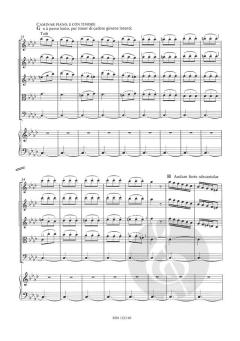 Concerto f-Moll 'Der Winter' op. 8/4 RV 297 (Antonio Vivaldi) 