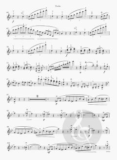 Voices Of Spring / Frühlingsstimmen von Johann Strauss (Vater) 