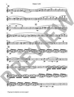 Three Elegies for Nine Clarinets von Gavin Bryars 