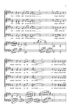 The Road Not Taken (David C. Dickau) 