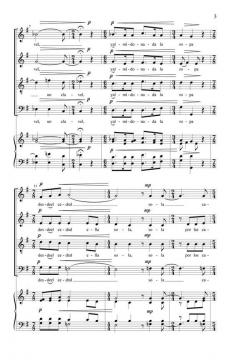 Por Los Caminos De Zorca (Christian Grases) 