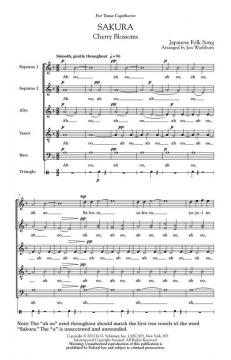 Sakura (Cherry Blossoms) 