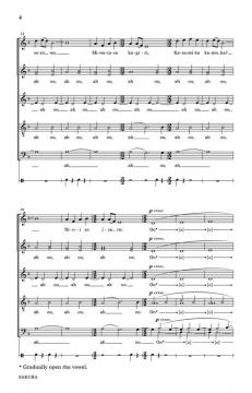 Sakura (Cherry Blossoms) 