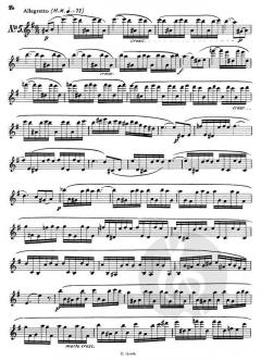 10 Etüden von Rudolf Jettel 