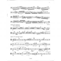 Variationen über 10 Haiku (Wolfram Wagner) 