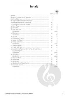 Picking Basics - Das Spielbuch Band 2 von Hans Westermeier 