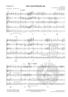 Nur noch Schuhe an (Mickie Krause) 