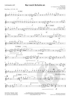 Nur noch Schuhe an (Mickie Krause) 