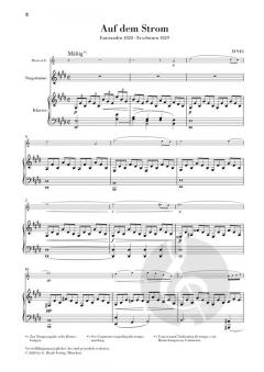 Auf dem Strom D 943 (Franz Schubert) 