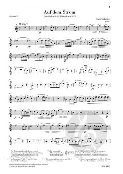 Auf dem Strom D 943 (Franz Schubert) 