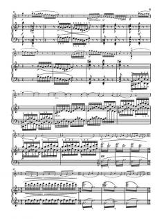 Sonate Nr. 1 d-moll op. 75 für Klavier und Violine von Camille Saint-Saëns im Alle Noten Shop kaufen