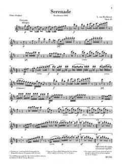 Serenade D-dur op. 41 von Ludwig van Beethoven für Klavier und Flöte (Violine) im Alle Noten Shop kaufen