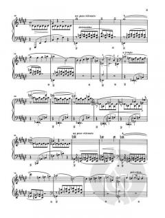 Bénédiction de Dieu dans la solitude von Franz Liszt 