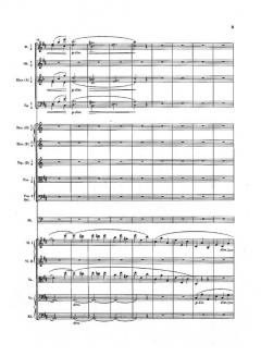 Die Symphonien Nr. 1-4 im Schuber von Johannes Brahms 