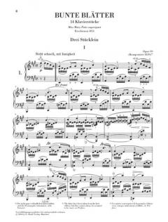 Sämtliche Klavierwerke Band 6 von Robert Schumann im Alle Noten Shop kaufen - HN9930