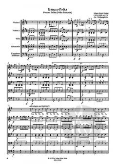 Bauern-Polka op. 276 von Johann Strauss (Vater) für Streichquartett im Alle Noten Shop kaufen