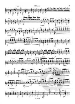 Arpeggione Sonata a moll D 821 von Franz Schubert 