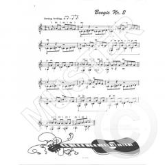 Achtung frischer Saitenwind ! von Michael Langer 