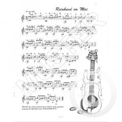 Achtung frischer Saitenwind ! von Michael Langer 