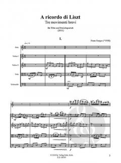 A ricordo di Liszt (Franz Surges) 