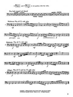 F Attachment And Bass Trombone von Allen Ostrander 