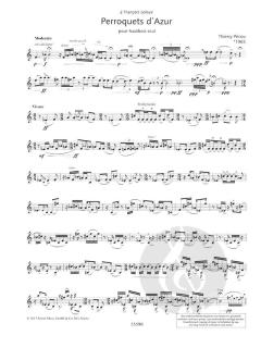 Perroquets d'Azur von Thierry Pécou 