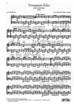 20 Welterfolge von Slavko Avsenik 