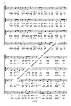 Adieu mein kleiner Gardeoffizier (Robert Stolz) 