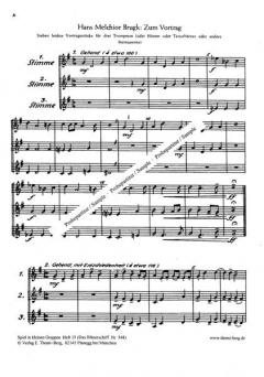 Zum Vortrag von Hans Melchior Brugk 