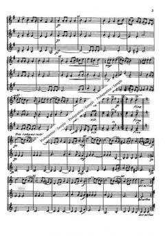 Zum Vortrag von Hans Melchior Brugk 