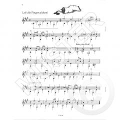 Schon wieder Saitenwind! von Michael Langer 