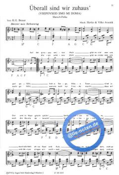 Musik mein Glück von Slavko Avsenik 